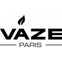 Logo VAZE