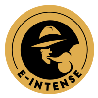 Logo E-INTENSE